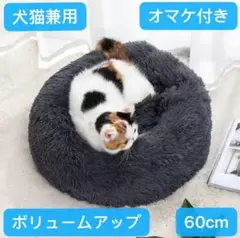 ギフト梱包 ボリュームアップ 猫 ベッド犬ベッド ペットベッド Lサイズ60cm