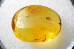 Item thumbnail for item 2c552a5c-f96e-4f33-9d22-069f108c51a8