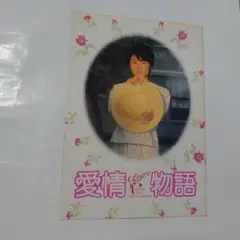 原田知世、映画パンフレット