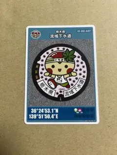 マンホールカード 栃木県流域下水道 とちまるくん