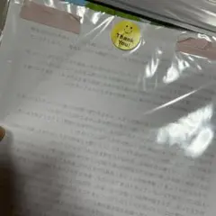 3歳児 児童票 個別の姿の文例 1年分 5領域