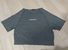 水洗いのみ　Alphalete　アルファリート　ジム　ヨガ　短め半袖トップス　S