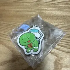 カメのキーホルダー