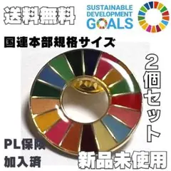 ゴールドタイプ 2個セットSDGS バッジ 国連標準規格サイズ 25.5mm