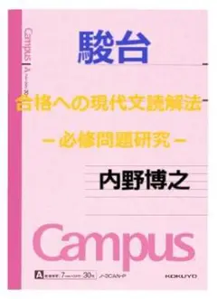 ライジング現代文 　初版　大学受験　絶版　書き込み無し　内野博之　駿台　東京大学 ライジング現代文 初版 大学受験 絶版 書き込み無し 内野博之
