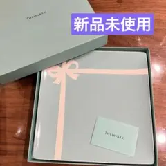 ティファニー ブルーボウデザートプレート 1箱 (2個入) 中古 未使用 TIFFANY＆Co. ティファニー ブルーボウデザート