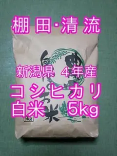 新米 新潟県 4年産 コシヒカリ 白米 5kg(5kg×1袋) お米 米