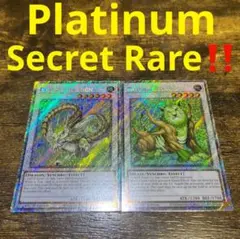 【ARS鑑定 10】ナチュルパルキオン　DTC シークレットレア　貴重！ ARS鑑定 10】ナチュルパルキオン DTC シークレットレア 貴重