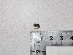 Item thumbnail for item eaa7fb10-3a7b-4c58-a557-60b1f4c37eec