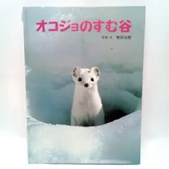 オコジョのすむ谷　増田戻樹　絵本　児童書【匿名配送・送料無料】