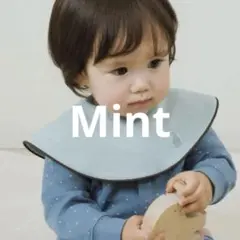 コニースタイ　ミント