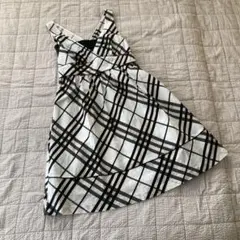 Item thumbnail for item b562415d-8b51-431d-aa08-066c1dd10659
