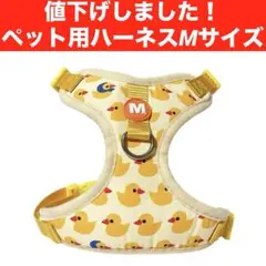 Item thumbnail for item b20964e1-6873-49e7-aab3-383a4619f3c7