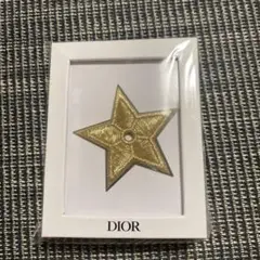 ディオールスターピン