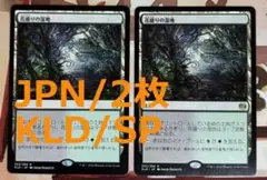 KLD 花盛りの湿地/Blooming Marsh MTG