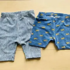 Uniqlo パンツ ズボン ヒッコリー 70 ストライプ タイガー 青 2枚
