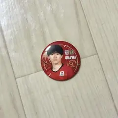 小川智大　ネーションズリーグ　ガチャガチャ　缶バッジ　VNL 2024