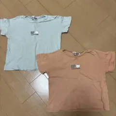 こぐまちゃんえほんTシャツ 2枚セット 110cm