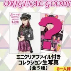 【SAYUMINGLANDOLL サユミンランドール 道重さゆみ 生写真】