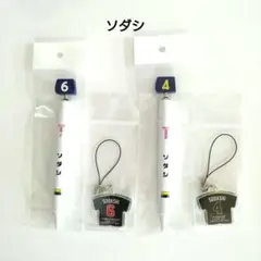 【新品・未使用】 競馬 勝負服ストラップ 缶バッヂ 等 2025年最新】Yahoo!オークション -勝負服ストラップの中古品