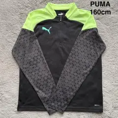 PUMA ジャージ 160cm 黒/緑