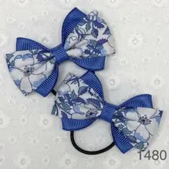 Item thumbnail for item b0650ce4-5b53-46f0-b44d-3a0d71bd96dc