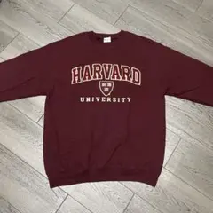 Champion/ クルーネックスウェット/M