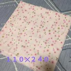 ハギレ