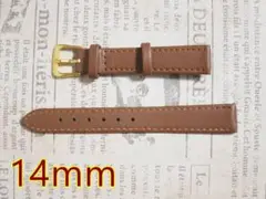 Item thumbnail for item f95c1d60-85a0-4f46-9d79-f9066ac2bd85