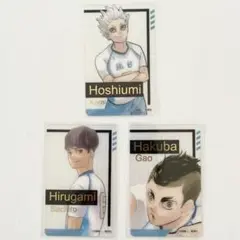 ハイキュー!! 箔押しクリアカードコレクション ファンパーク