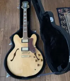 訳あり値下げ！シェラトンepiphone sheratonⅡ vs ジャンク 訳あり値下げ！シェラトンepiphone sheratonⅡ vs ジャンク