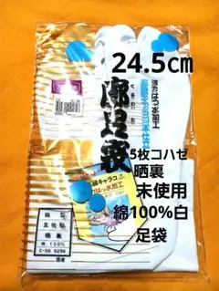 Item thumbnail for item 6dc23927-6370-429e-a370-7756002fa190