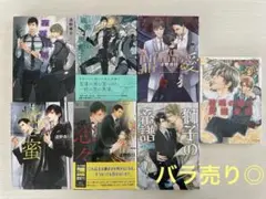 遠野春日　疵と蜜　夜間飛行等７冊セット