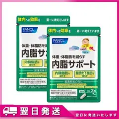 内脂サポート*2