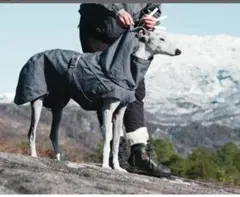 Item thumbnail for item 5fc9a266-d480-4ded-a9ef-f117fe6c410a