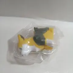 ポケモンキッズ　パルスワン①◯