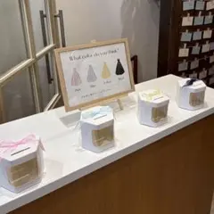ドレスの色当てクイズ　セット