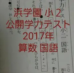浜学園　小２　2017年　公開学力テスト 国語 算数 2教科