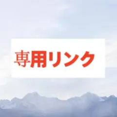 ☆真子☆。専用リンク スキーアクセサリー