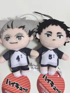 ハイキュー!! ぬいぐるみ マスコット 木兎光太郎 赤葦京治 セット
