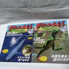 ダーウィンが来た！　DVDブック　47巻まとめ売り　DVD未使用 DVDブックダーウィンが来た! 4〜6巻 - メルカリ