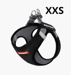 Item thumbnail for item bc63a2b4-219e-4223-876d-81f7c53495c9