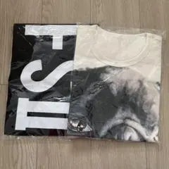 大野智 フリースタイル2 FREESTYLEⅡ 個展 グッズ