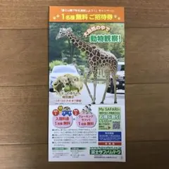 富士サファリパーク 無料招待券 チケット
