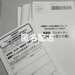 乃木坂46 Same numbers 新星堂 購入者限定特典 応募ハガキ 49枚