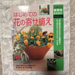 はじめての花の寄せ植え