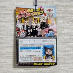 【匿名発送】なめんなよ カードコレクション2（1セット）エンスカイ