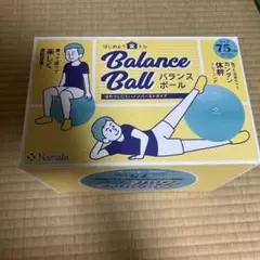 【新品未使用】ナマラ Namala バランスボール 腹筋シェイプ