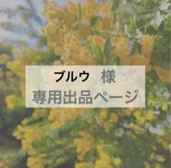 ブルウ様　専用出品