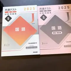 【新品 未使用】河合塾 Jシリーズ 共通テスト直前対策問題集 国語